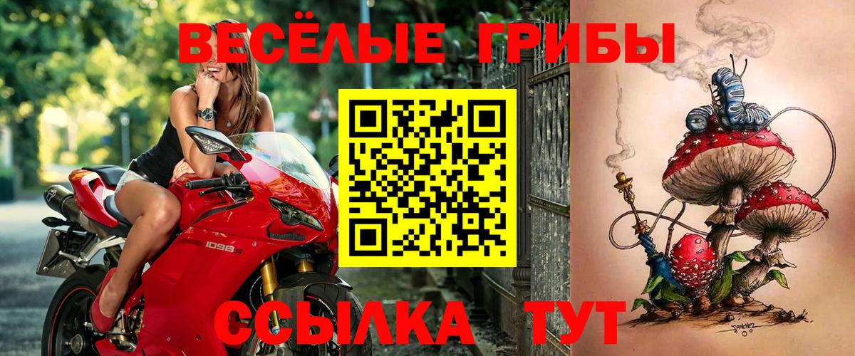 Галлюциногенные грибы MAGIC MUSHROOMS  Вход с VPN  Богородск 